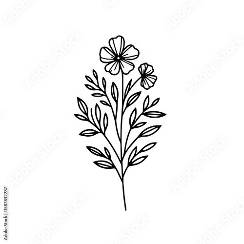 Minimalistic black and white line art illustration of pressed flowers  