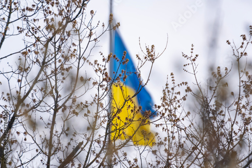 Ukrainian Flag Waving Behind Spring Branches Symbol of Freedom and Resilience