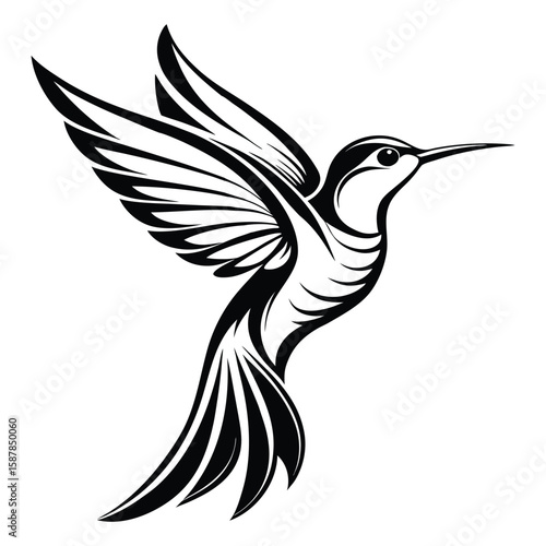 Black and white hummingbird illustration with wings spread in flight against a white background