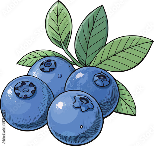 blueberries and leaves