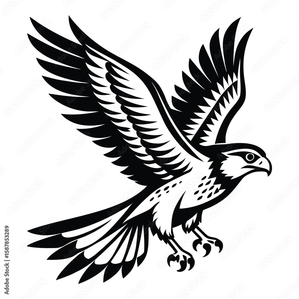 Fototapeta premium Black and white illustration of a hawk with outstretched wings in flight on a white background