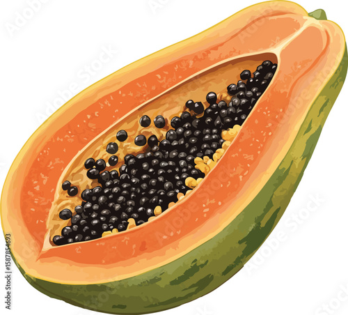 papaya on white background