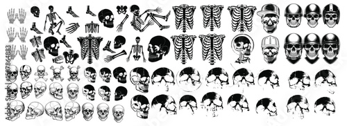 Human Skeleton Anatomy Icon Set – Detailed Skull, Ribcage, and Full Body Silhouettes