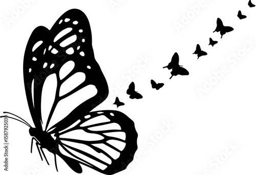 Butterflies on white background illustration