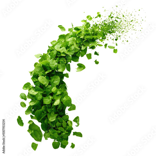 Dynamic Green Leaf Burst Isolated On White Background