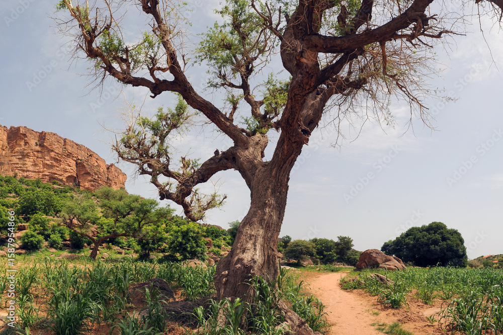 Landscapes of the Bandiagara cliffs in Mali Landscapes of the Bandiagara cliffs in Mali
