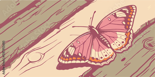 pink butterfly adorned with white and orange markings resting on aged wooden surface vector illustration.