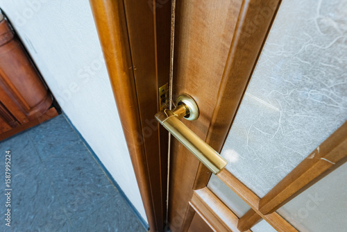 A close up of a wooden door with a brass handle