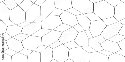 Abstract Irregular Polygon Mesh Pattern – Cracked Organic Cell Structure Background