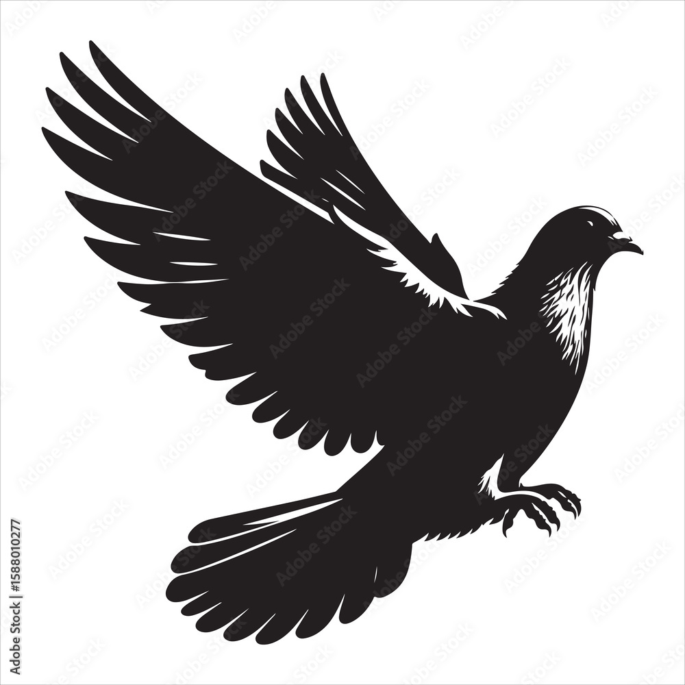 Fototapeta premium siting pigeon Silhouette Vector Art and Graphic vector black color silhouette , white background 