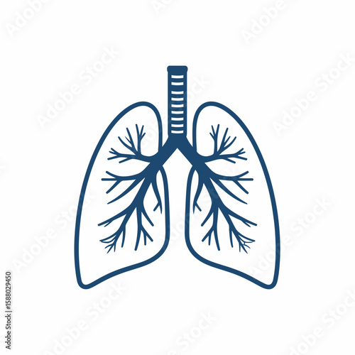 Stylized anatomical illustration of human lungs, showing bronchi and alveoli.