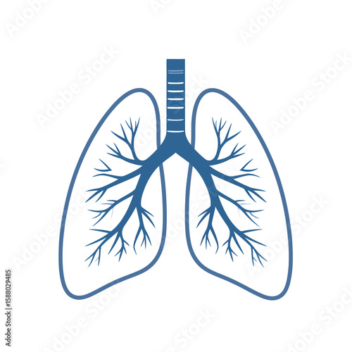 A stylized blue illustration of the human respiratory system, showing the lungs, trachea, and bronchi.
