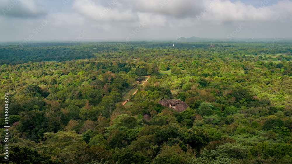 Obraz premium landscape with trees and clouds