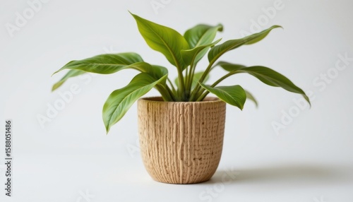 a high resolution, ultra sharp isolated plant pot made from banana fiber, placed on a pure white background with little to no shadow