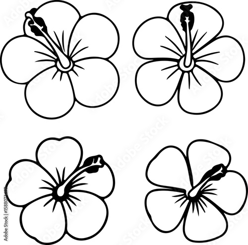 Set of Hibiscus Silhouette Vector Art,
Tropical Hibiscus Flower Silhouette Set