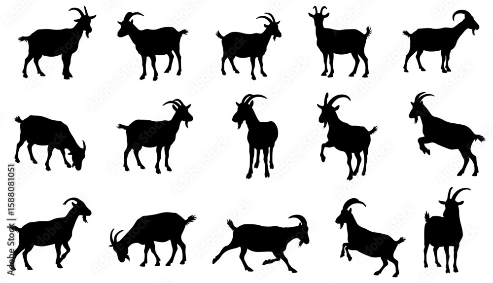 Fototapeta premium A collection of goat silhouettes in various poses. Vector illustration