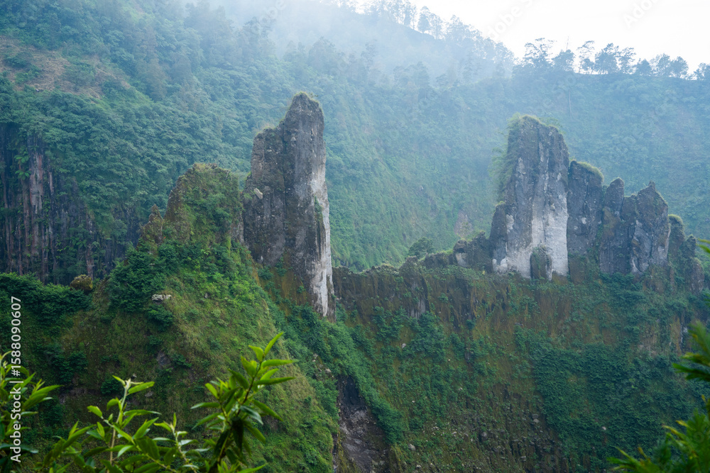 Obraz premium Limestone spires above tropical jungle basin 