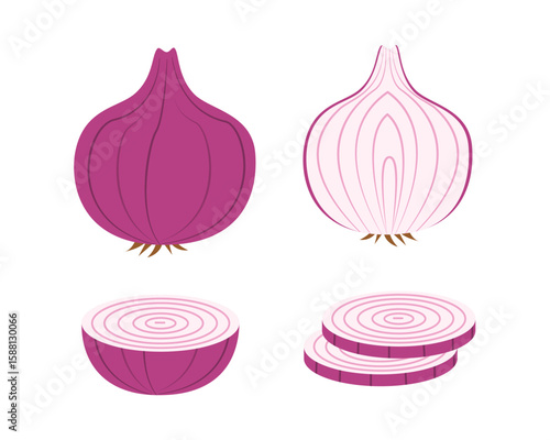 Red Onion Vector Set – Whole, Half, and Sliced Flat Illustration