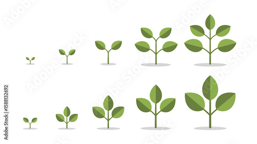 A Minimalist Illustration of Plant Growth Stages From Seed to Sapling