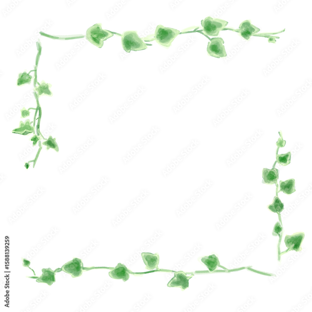 Fototapeta premium アイビーのイラストセット、ボタニカルナチュラル系。