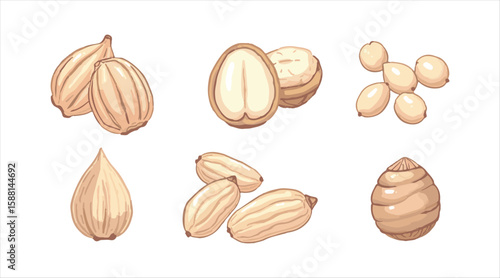 Nuts and seeds arranged with various icons in a Doodle style. You've got walnuts, macadamia nuts, hazelnuts, and peanuts all on a white backdrop.
