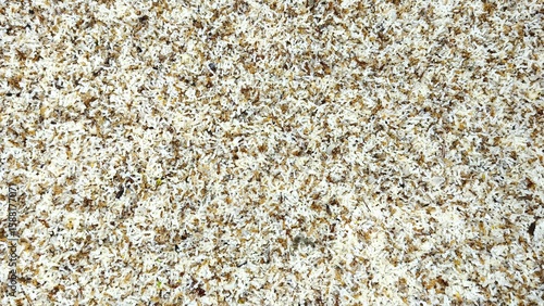 Quadro su tela Close-up of numerous white ant eggs mixed with worker ants, creating a dense texture