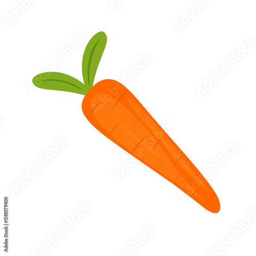 Cartoon style carrot vegetable illustration. Hand-drawn carrot vegetable illustration. Flat design carrot vegetable illustration. Vector illustration of carrot vegetable 