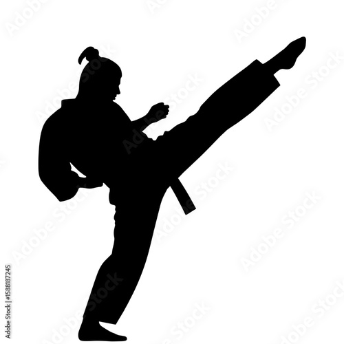 Martial artist high sidekick breaking board – power transfer, motion impact