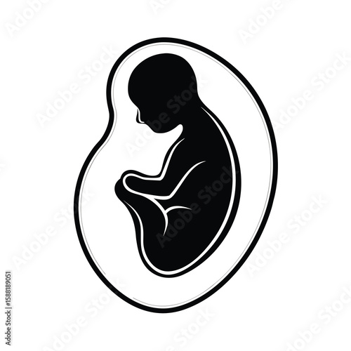 fetus silhouette pregnancy baby unborn development