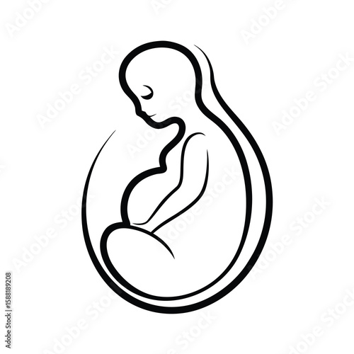 fetus silhouette pregnancy baby unborn development
