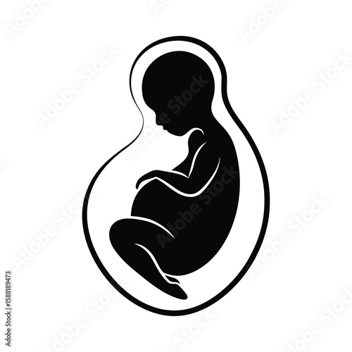 fetus silhouette pregnancy baby unborn development