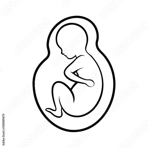 fetus silhouette pregnancy baby unborn development