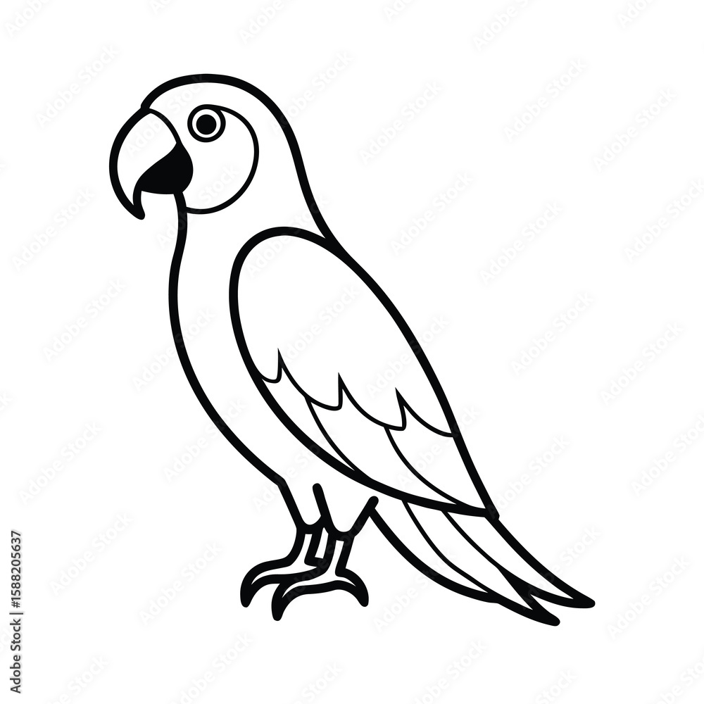 Fototapeta premium parrot illustration tropical bird design carton