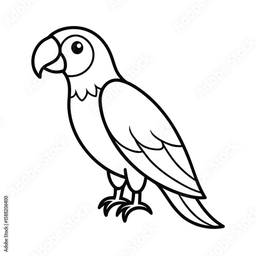 parrot on a white background