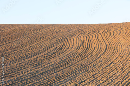 Detail of fertile, tilled farmland and rolling hills at dusk, Palouse