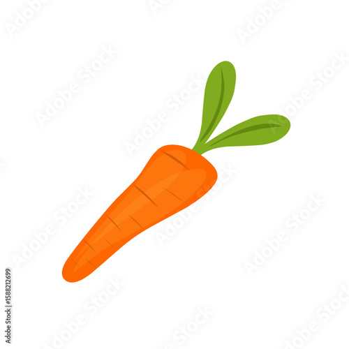 Cartoon style carrot vegetable illustration. Hand-drawn carrot vegetable illustration. Flat design carrot vegetable illustration. Vector illustration of carrot vegetable 