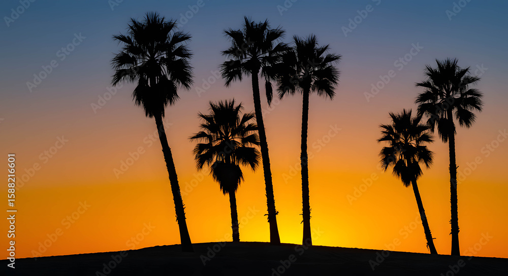 Obraz premium Minimalist Coconut Palm Tree Silhouette at Sunset Indonesia