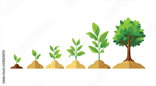 Phases of growing plants. Infographic on tree planting. Evolutionary concept. Icons depicting sprout, plant, and tree growth in agriculture. Vector illustration in a flat design.