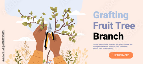Hands pruning fruit tree branch gardening activity with pruning shears green leaves outdoor nature background website banner