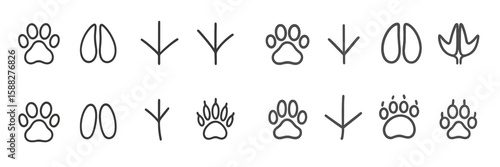 Distinct animal tracks illustrating various species in a clear and engaging design suitable for educational purposes
