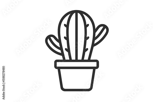 Cactus plant in a small pot showcasing unique design and beauty in indoor gardening at home or office