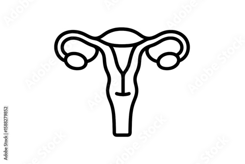 Detailed illustration of the human female reproductive system highlighting key anatomical features in a clear design
