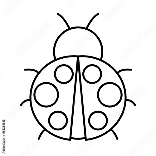 Lady Bug