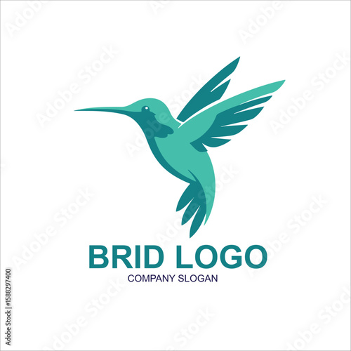 bird logo vector