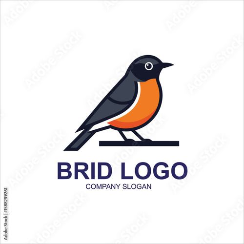 vector illustration of a bird