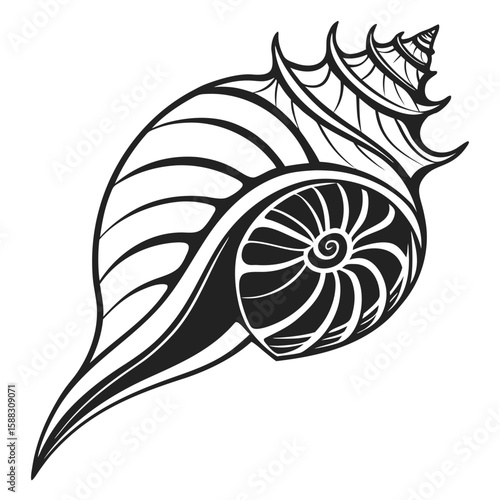 Intricate Spiral Seashell Design for Decorative Purposes