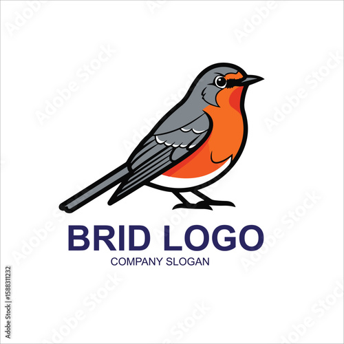vector illustration of a bird
