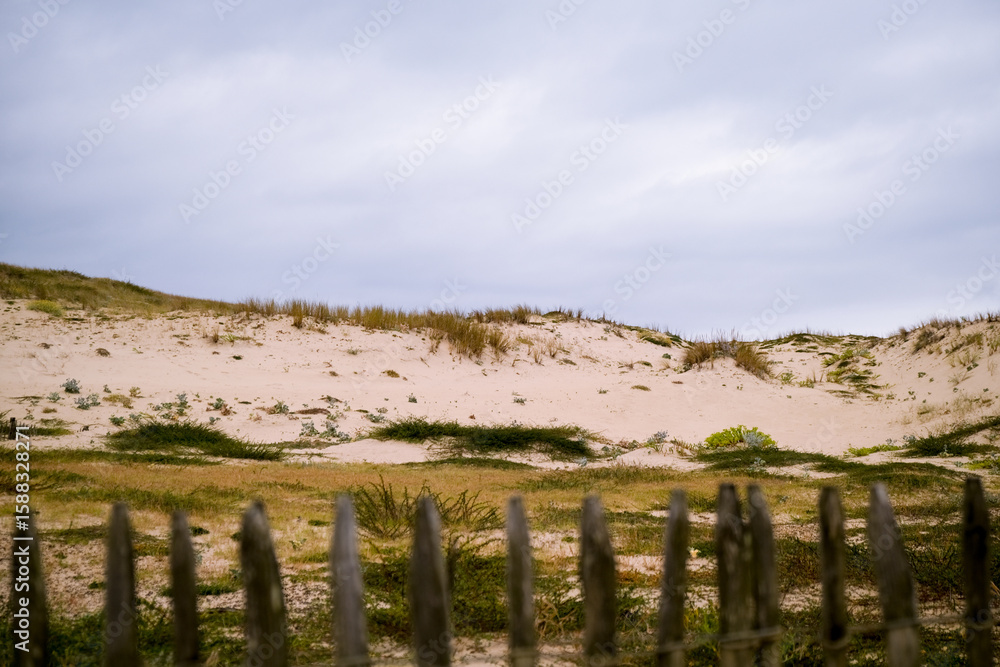 Fototapeta premium paysage de dune de l'océan atlantique