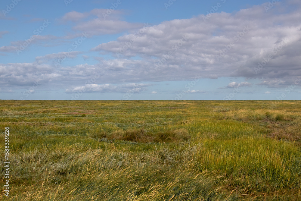 Obraz premium Expansive Green Grassland under Vast Blue Sky with White Clouds