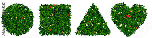 topiary bush shapes with flowers in circle, square, triangle and heart design on transparent background with silhouette style